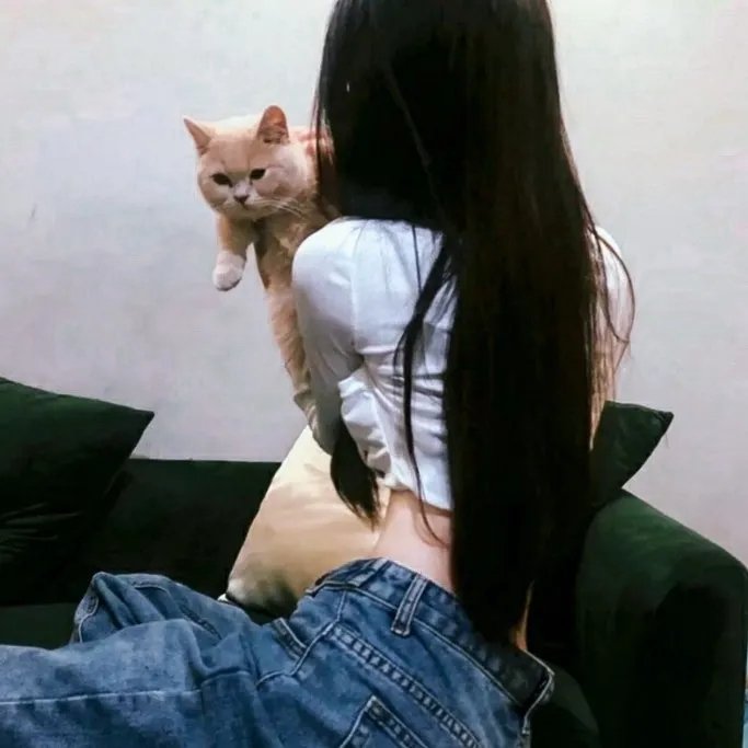 西部独行侠